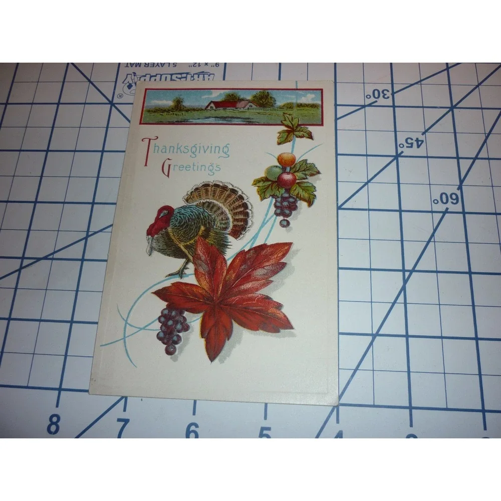 Vintage Thanksgiving Greetings Postcard Embossed Turkey Autumn Leaves USA 524‎